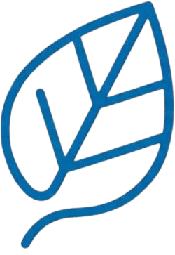 Beechmont Media Logo